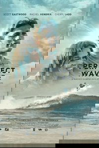 The Perfect Wave