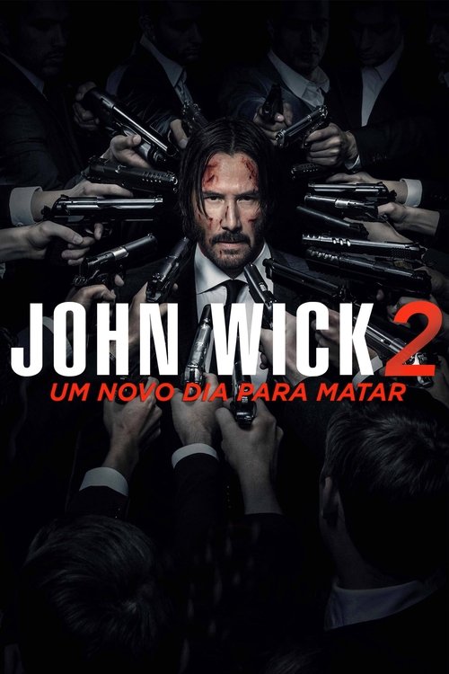 John Wick: Um Novo Dia para Matar