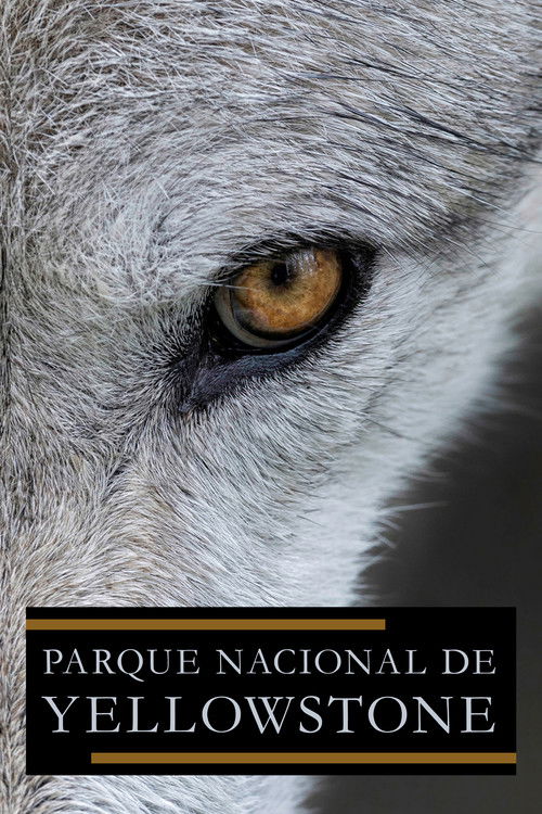 Parque Nacional de Yellowstone